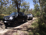 Shaun Nissan Navara D40