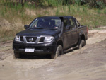 Shaun Nissan Navara D40