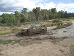 Shaun Nissan Navara D40